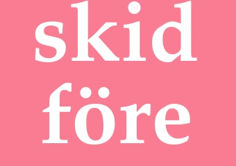 Synonym skidföre