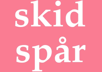 Synonym skidspår