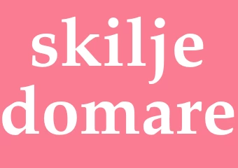 Synonym skiljedomare