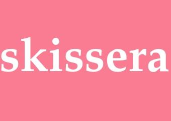 Synonym skissera