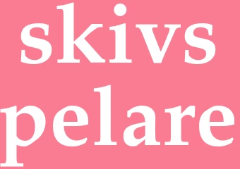 Synonym skivspelare