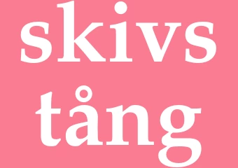 Synonym skivstång