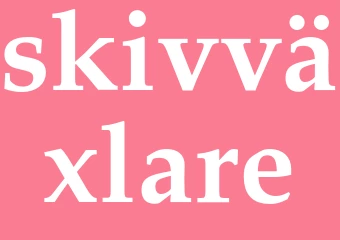 Synonym skivväxlare