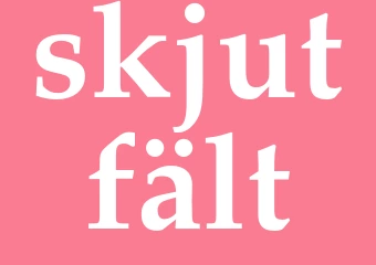 Synonym skjutfält