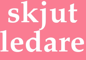 Synonym skjutledare