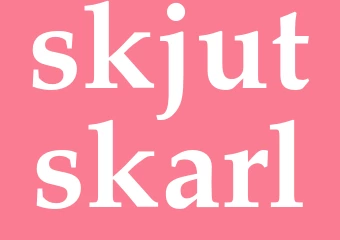 Synonym skjutskarl