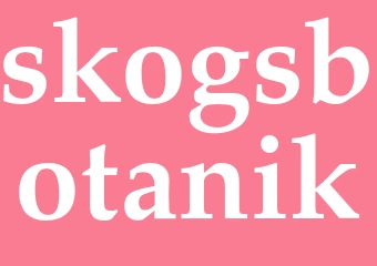 Synonym skogsbotanik