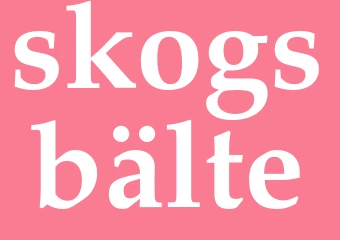 Synonym skogsbälte