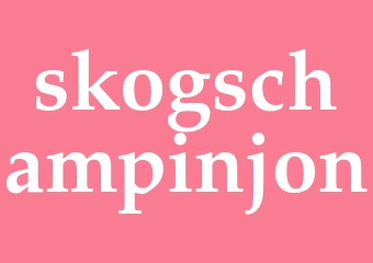 Synonym skogschampinjon