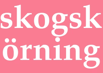 Synonym skogskörning
