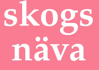 Synonym skogsnäva