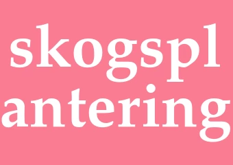 Synonym skogsplantering