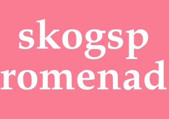 Synonym skogspromenad