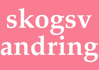 Synonym skogsvandring