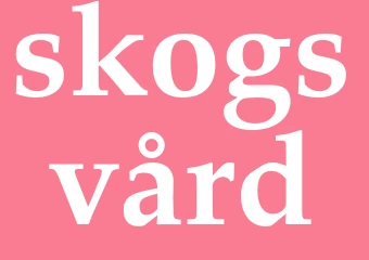 Synonym skogsvård