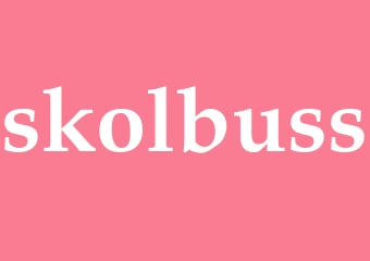 Synonym skolbuss