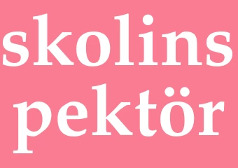 Synonym skolinspektör
