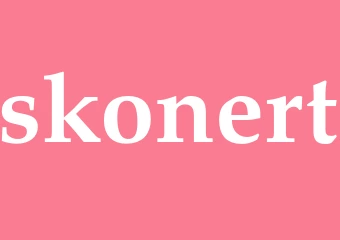 Synonym skonert