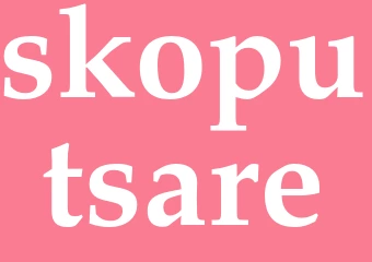 Synonym skoputsare
