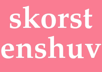 Synonym skorstenshuv