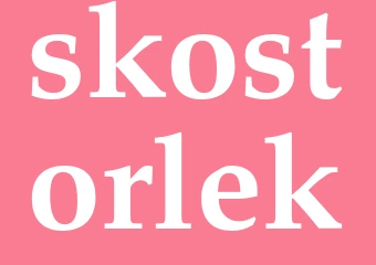 Synonym skostorlek