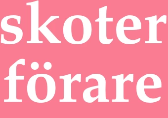 Synonym skoterförare