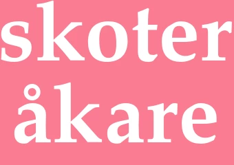 Synonym skoteråkare