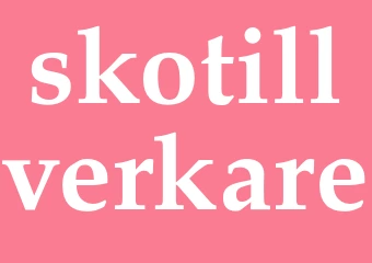 Synonym skotillverkare