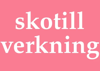 Synonym skotillverkning