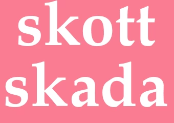 Synonym skottskada