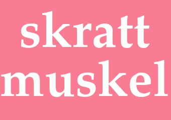 Synonym skrattmuskel