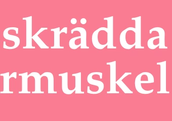 Synonym skräddarmuskel