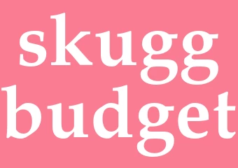Synonym skuggbudget