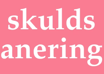Synonym skuldsanering