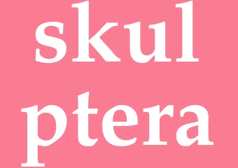 Synonym skulptera