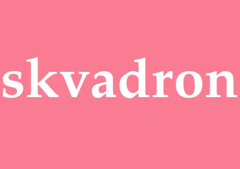 Synonym skvadron