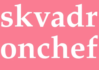 Synonym skvadronchef