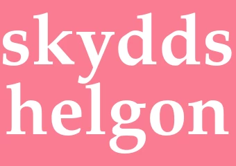 Synonym skyddshelgon