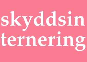 Synonym skyddsinternering