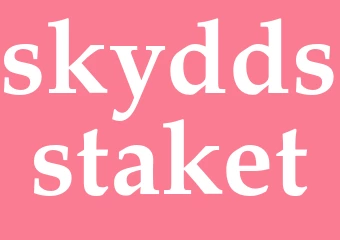 Synonym skyddsstaket