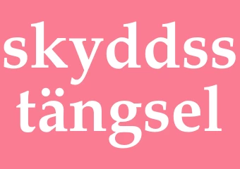 Synonym skyddsstängsel
