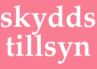 Synonym skyddstillsyn