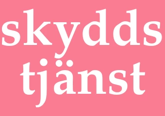 Synonym skyddstjänst