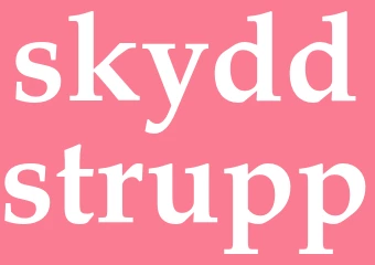 Synonym skyddstrupp