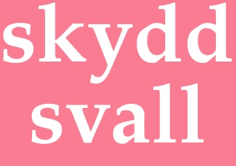 Synonym skyddsvall