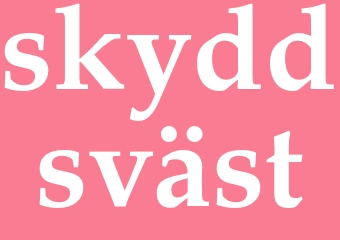 Synonym skyddsväst