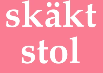 Synonym skäktstol