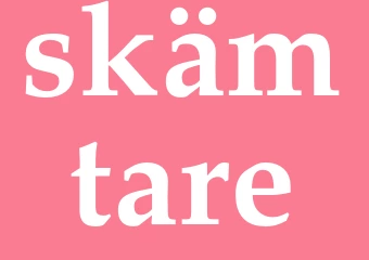 Synonym skämtare
