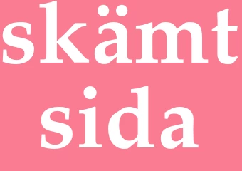 Synonym skämtsida