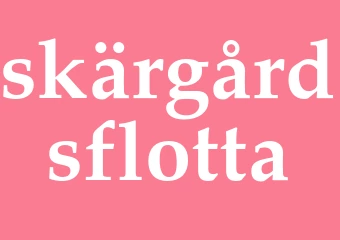 Synonym skärgårdsflotta